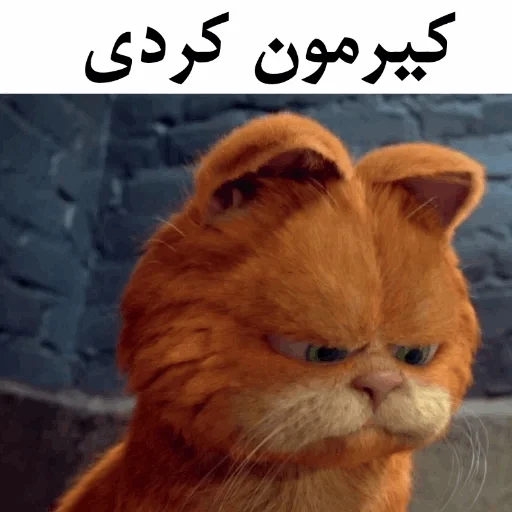 ɢᴀʀғɪʟᴅ @Gif_Error ɢᴀʀғɪʟᴅ @Gif_Error -