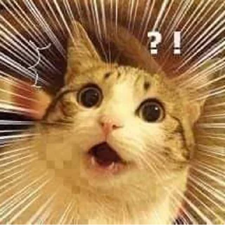 Стикер Gatinhos da Mand - 11 Стикер Gatinhos da Mand - 11