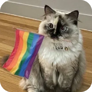 Sticker Gay power - 11