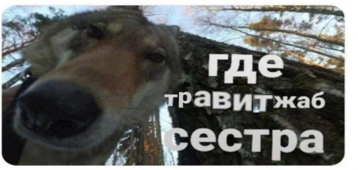 где где -