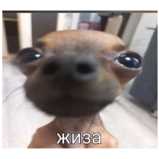 Sticker Гейша - 11