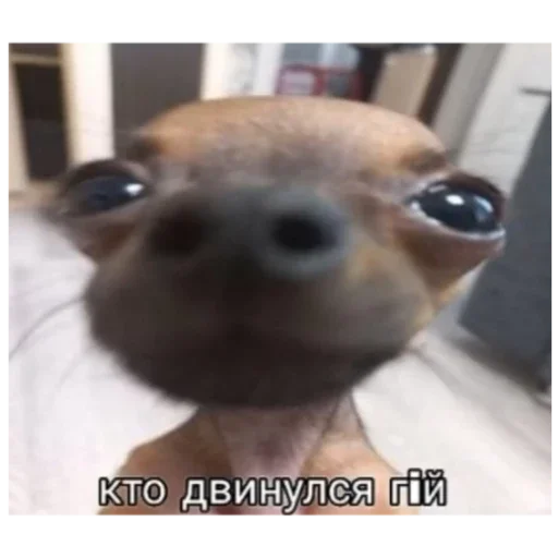 Sticker Гейша - 10