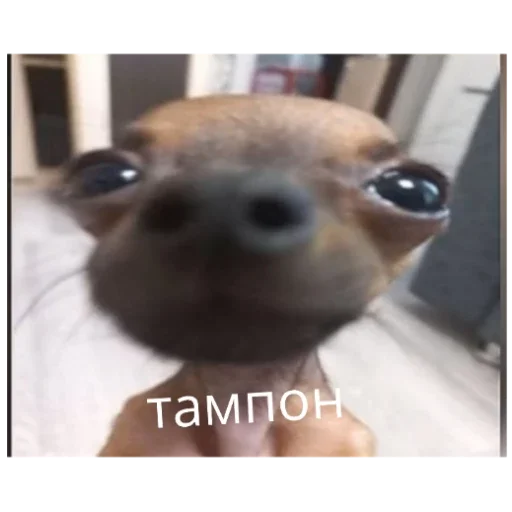 Sticker Гейша - 8