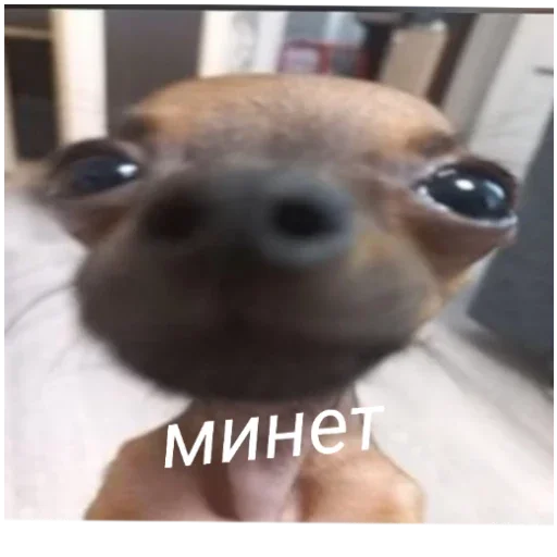 Sticker Гейша - 7