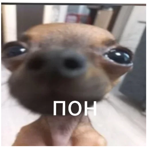 Sticker Гейша - 6