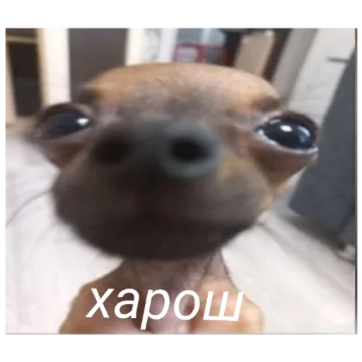 Sticker Гейша - 5