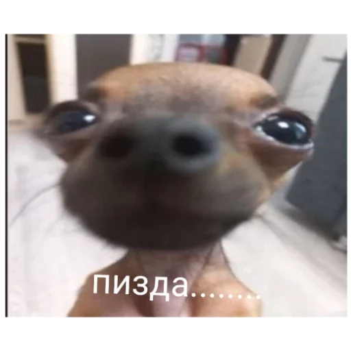Sticker Гейша - 3