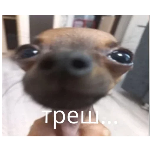 Sticker Гейша - 1