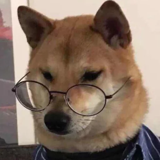 Нахуй я родился Нахуй я родился -