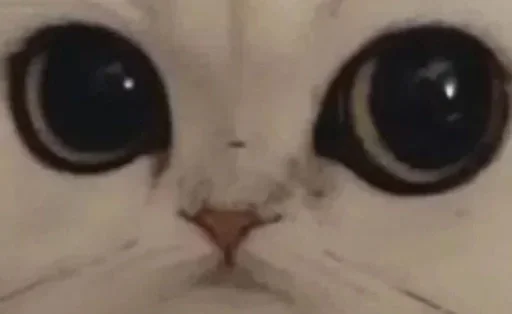 👀 👀 -