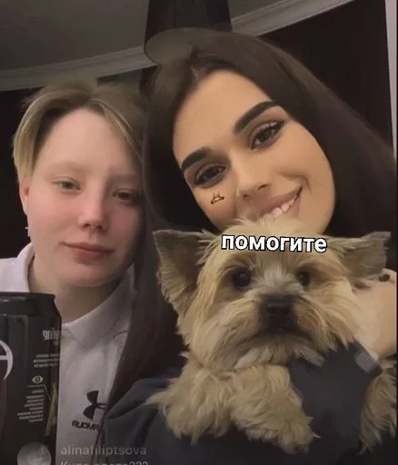 Человек Человек человеческое лицо домашнее животное