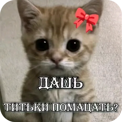 Гмаьм Гмаьм -