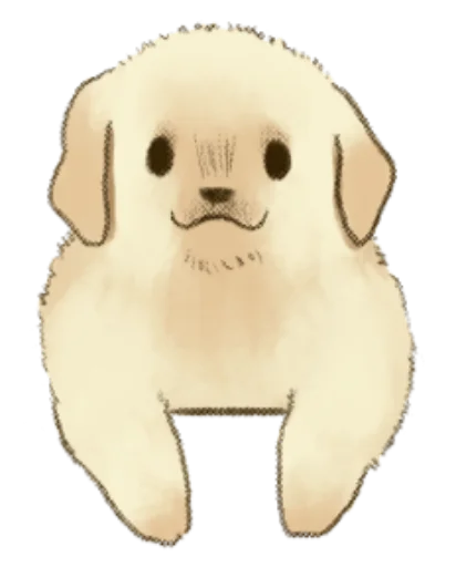 Golden Retriever Puppy 1-3 Golden Retriever Puppy 1-3 -