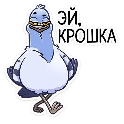 Голубь Валера 😏 Голубь Валера 😏 -