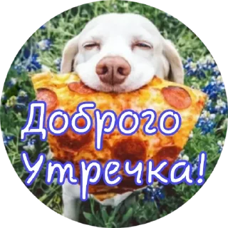 Sticker Доброе утро - 9