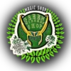 Green Wizards Green Wizards -