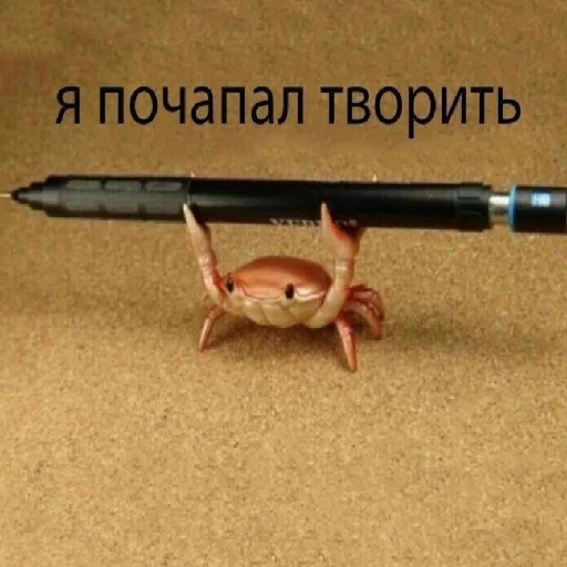 СМЕРТЬ КАТАМ СМЕРТЬ КАТАМ -