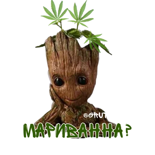 Groooot Groooot -