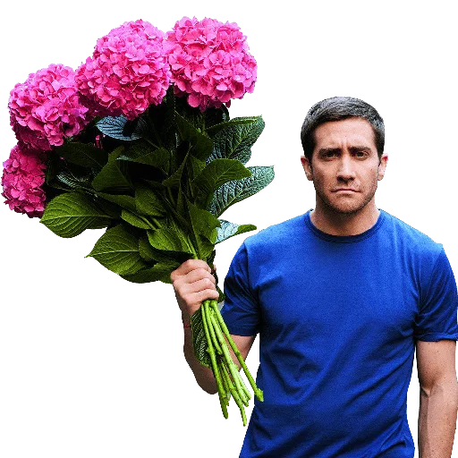 Gyllenholy Gyllenholy -