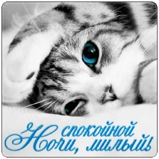 Sticker HEV_mm6NTT - 5