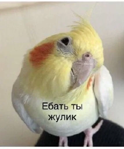 Sticker Супер SeXs😍💍💖 :: @fStikBot - 10 Sticker Супер SeXs😍💍💖 :: @fStikBot - 10