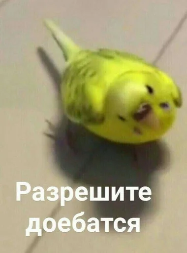 Sticker Супер SeXs😍💍💖 :: @fStikBot - 7 Sticker Супер SeXs😍💍💖 :: @fStikBot - 7