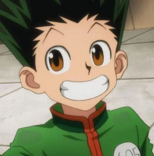 Hunter x Hunter Hunter x Hunter -