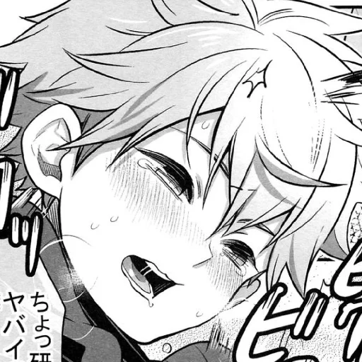 HaikyuuHub HaikyuuHub -
