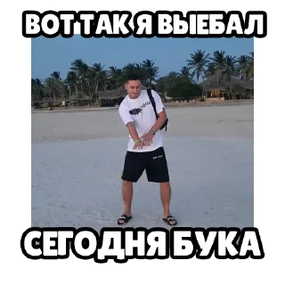 Стикер Гений Хомяков 2.0 @hamsterbetChat - 0