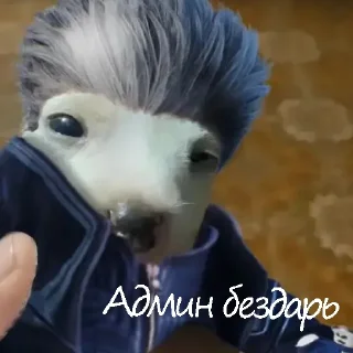 Sticker Админа надо хуесосить - 7 Sticker Админа надо хуесосить - 7