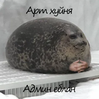 Sticker Админа надо хуесосить - 4 Sticker Админа надо хуесосить - 4