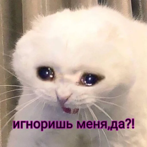 Kdnckr :: @fStikBot Kdnckr :: @fStikBot -