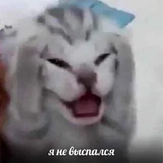 Sticker Хеехе - 4