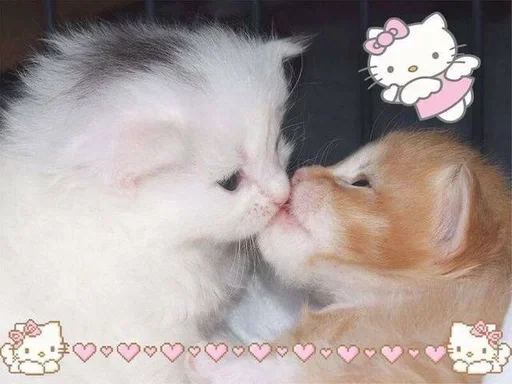 💕Стики тут: @sekstick 💕Стики тут: @sekstick -