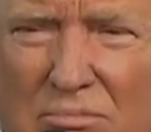 Трамп Трамп -