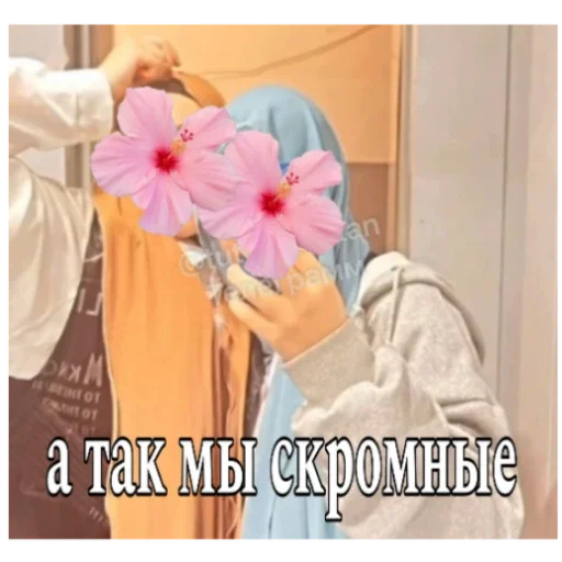 Хиджабовские чурки Хиджабовские чурки -