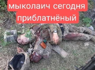 Sticker Смешные трупы хохлов - 3 Sticker Смешные трупы хохлов - 3