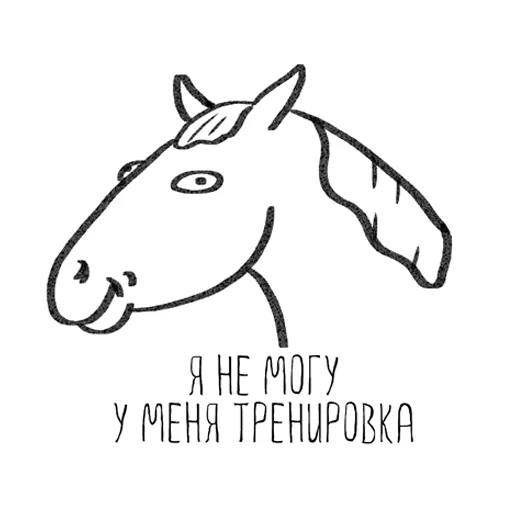 Horse Semen Horse Semen -