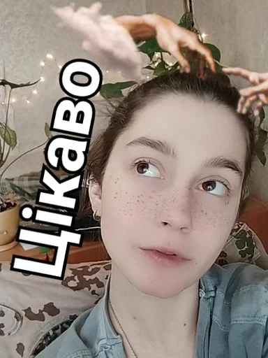 человеческое лицо человеческое лицо Человек ресница