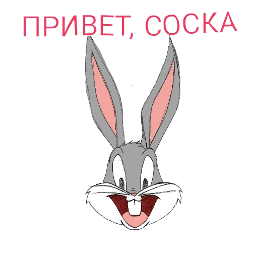Нора Нора -