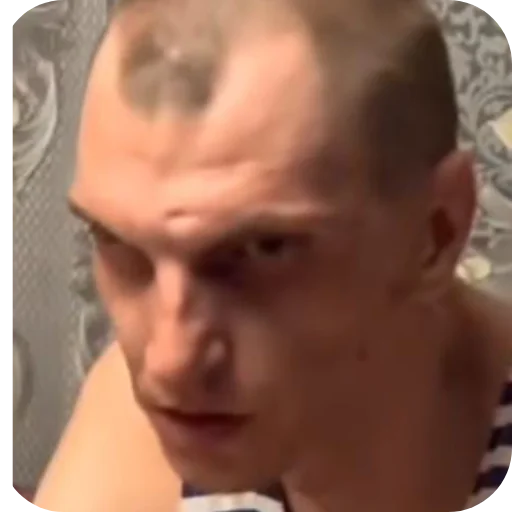 жди докс жди докс -