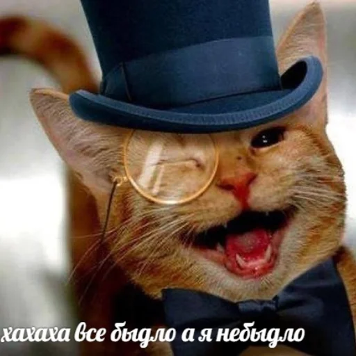 Привет от @humorwindow Привет от @humorwindow - text