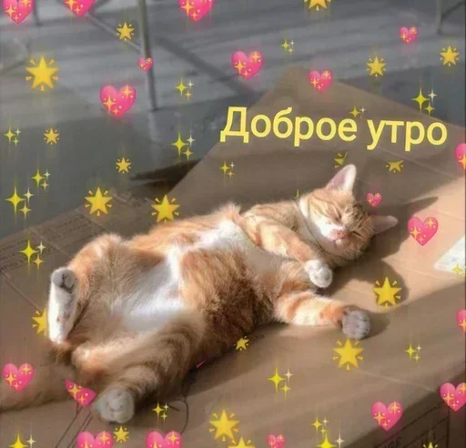 Стикеры @stikerk877 Стикеры @stikerk877 -