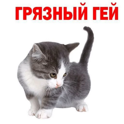 иди нахуй🤩 иди нахуй🤩 -
