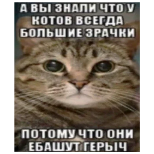Иисуси Иисуси -