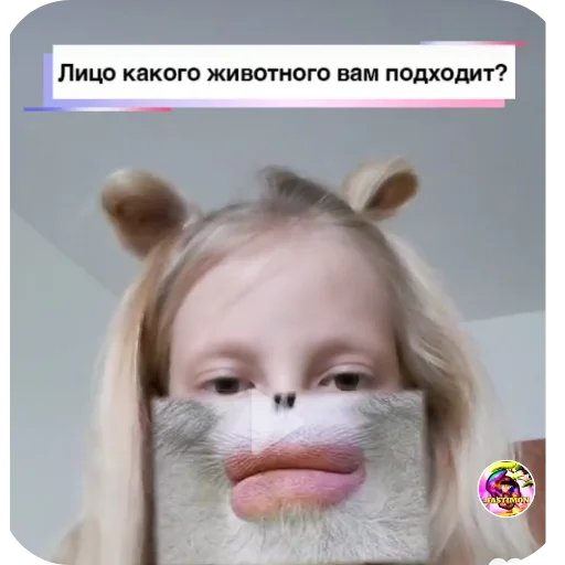 Имбовые стики Имбовые стики -