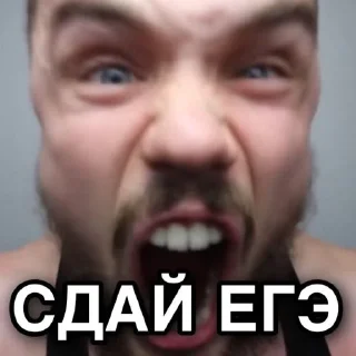 Стикер Игорь Войтенко - 11 Стикер Игорь Войтенко - 11
