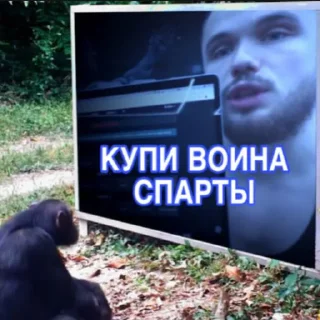 Стикер Игорь Войтенко - 1 Стикер Игорь Войтенко - 1