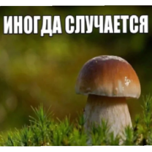 иногда случается иногда случается -