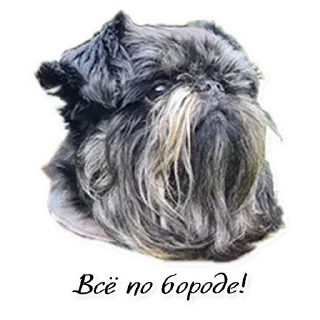 Sticker СТАЯ - 10